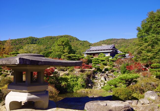 広大な日本庭園が素晴らしい!