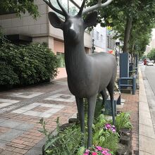 街路樹の近くにある、この鹿の近くにありました