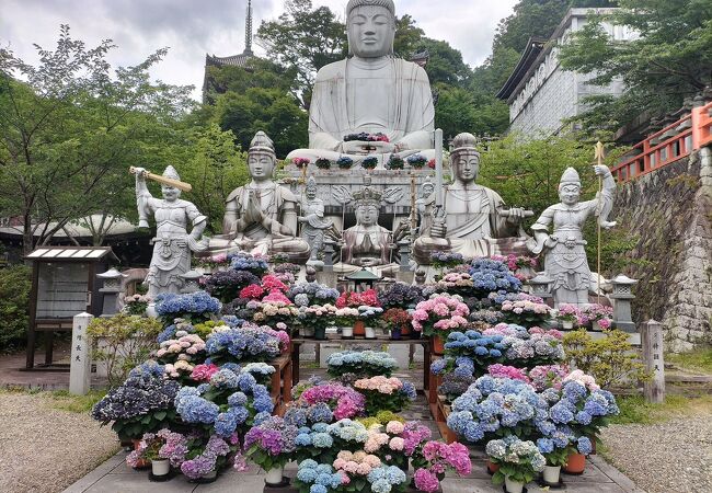 紫陽花を見に行きましたが、少し俗っぽい