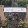 オフィス街の公園