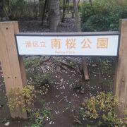 オフィス街の公園