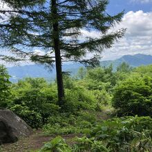 鏡池と小鳥ヶ池の中間地点の硯石