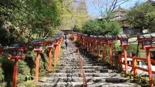 水の神様を祀っている神社です。水占みくじが有名です。