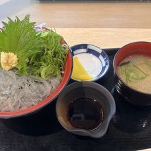 焼津の網元 いちまる