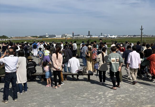 春には桜の下で航空機の離発着が見られるらしい