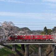 赤い車体とのコラボ