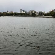 都心の大きな公園！