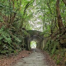 八角トンネル(熊延鉄道遺構)