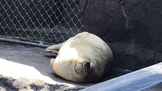 まだまだ新しい