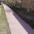 南禅寺まで続く散策路。四季折々の風景が楽しめます。