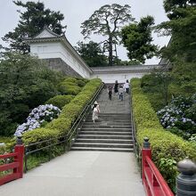 小田原城へ。