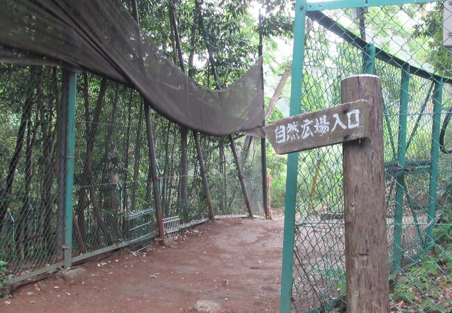 深大寺自然広場 野草園