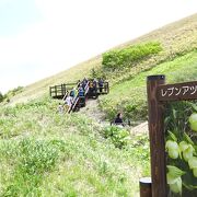 レブンアツモリソウ群生地 クチコミ・アクセス・営業時間｜礼文