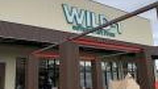 WILD-1 幕張店