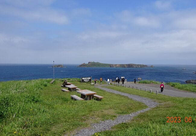 天候が良かったので、スコトン岬からトド島を見ることができました。