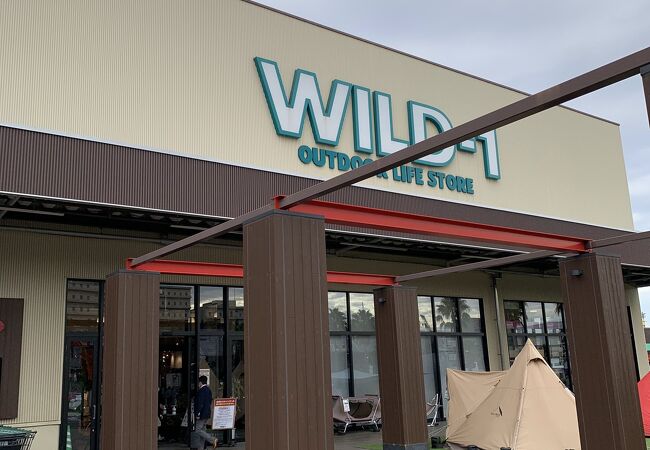 WILD-1 幕張店