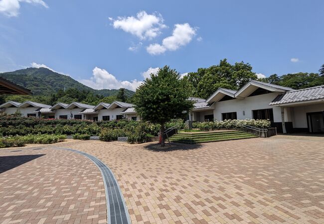 道の駅みのぶ 富士川観光センター