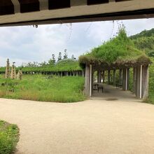 水田を囲む草の生えた屋根を持つ回廊