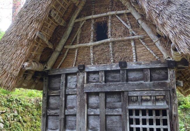 人形にびっくり