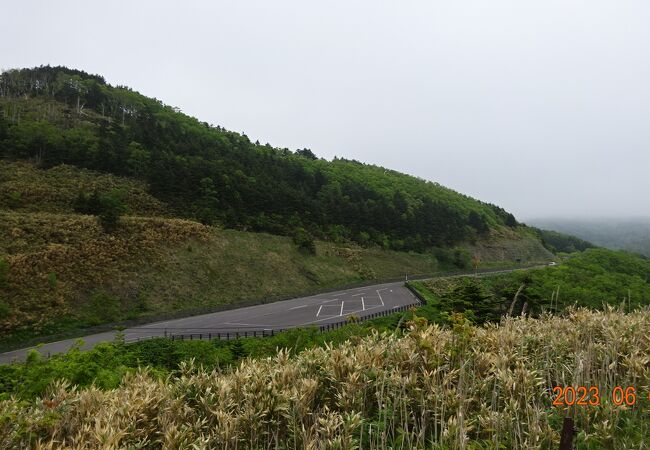 標識もあり、分かりやすい道でした.