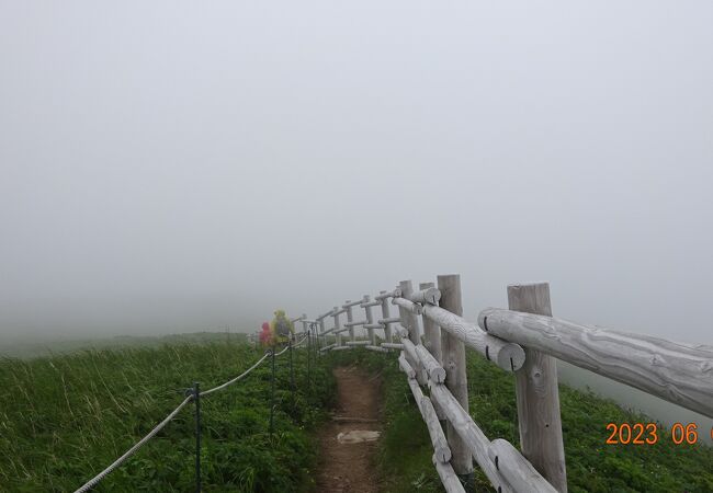 桃岩展望台から元地灯台の方向に遊歩道を歩いて行きました。