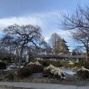 高島公園を散策しつつ振り返る