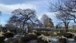 高島公園を散策しつつ振り返る