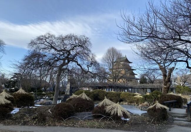 高島公園を散策しつつ振り返る