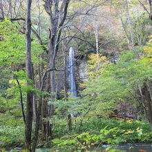 白糸の滝