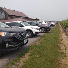 ブドウ畑のレストランに立ち寄り