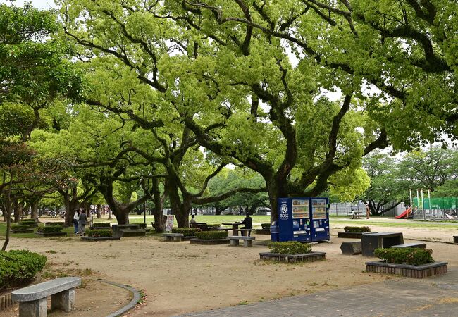 アルバカーキ橋を渡ったところに