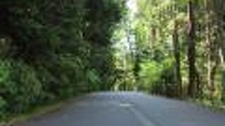 金沢城公園管理のための専用道路で一般は立ち入り禁止