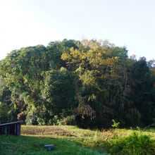 入津原丸山古墳