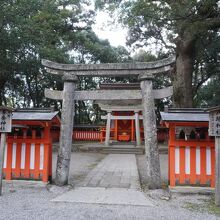 宇佐神宮 八坂神社 養蚕神社