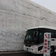 今回は雪の大谷を見に行きました