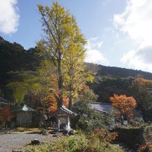 長安寺(大分県豊後高田市)