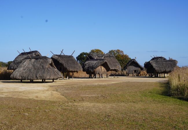 弥生のムラ安国寺集落遺跡公園