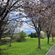 白樺林と四季の花