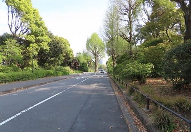 日本武道館、科学技術館、東京国立近代美術館などがあります