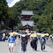 白い鳩も有名です。