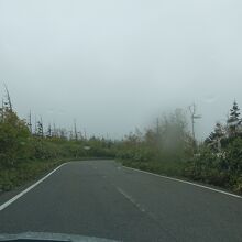 アオモリトドマツの森を走るアスピーテライン