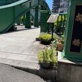 緑色の小さな橋