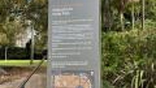 広い公園で見どころが多い