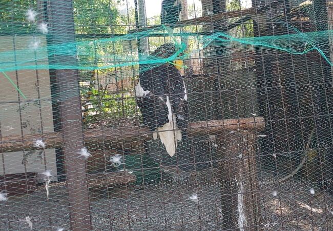 京濱鳥獣貿易 動物価格表 & 札幌 山動物園 どうぶつぐらふ