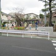 地元の人向けの公園