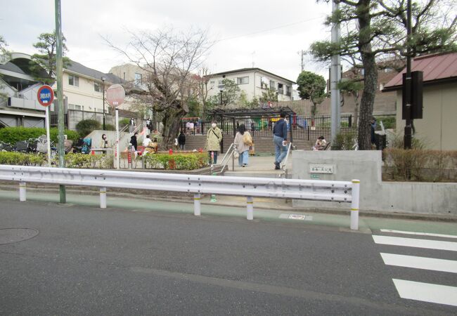 地元の人向けの公園