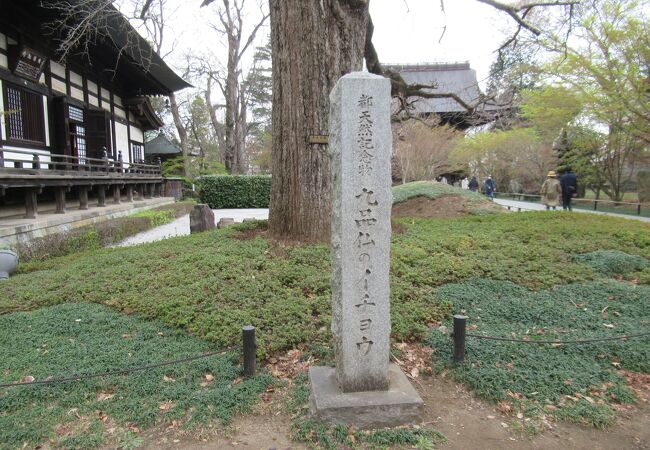 東京都天然記念物