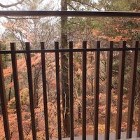 お部屋からは紅葉がよく見えました。