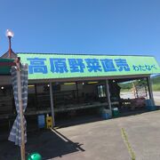 焼きトウモロコシも食べられます！レストラン最高地点の裏です