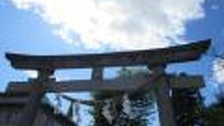 手形はどこだ？